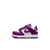 Nike Dunk Low (Toddlers) - WHITE/VIOTECH-WHITE