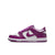 Nike Dunk Low (GS) - WHITE/VIOTECH-WHITE